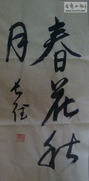 DSC00053.JPG