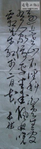 DSC00055.JPG
