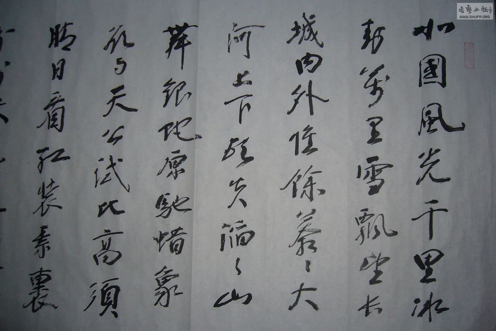 P1180633.JPG