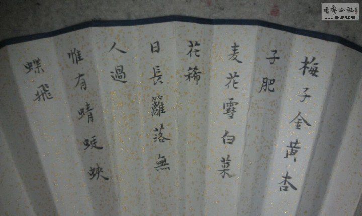 large_BMCo_1c5000002448125f.jpg
