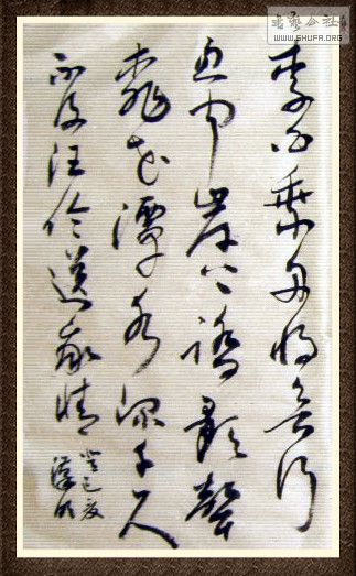 STP62083124_.jpg
