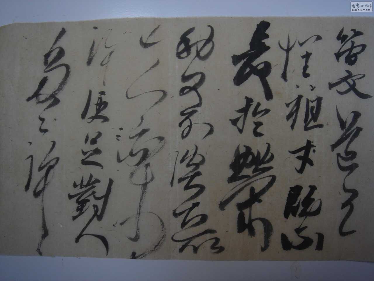 DSC01437.JPG
