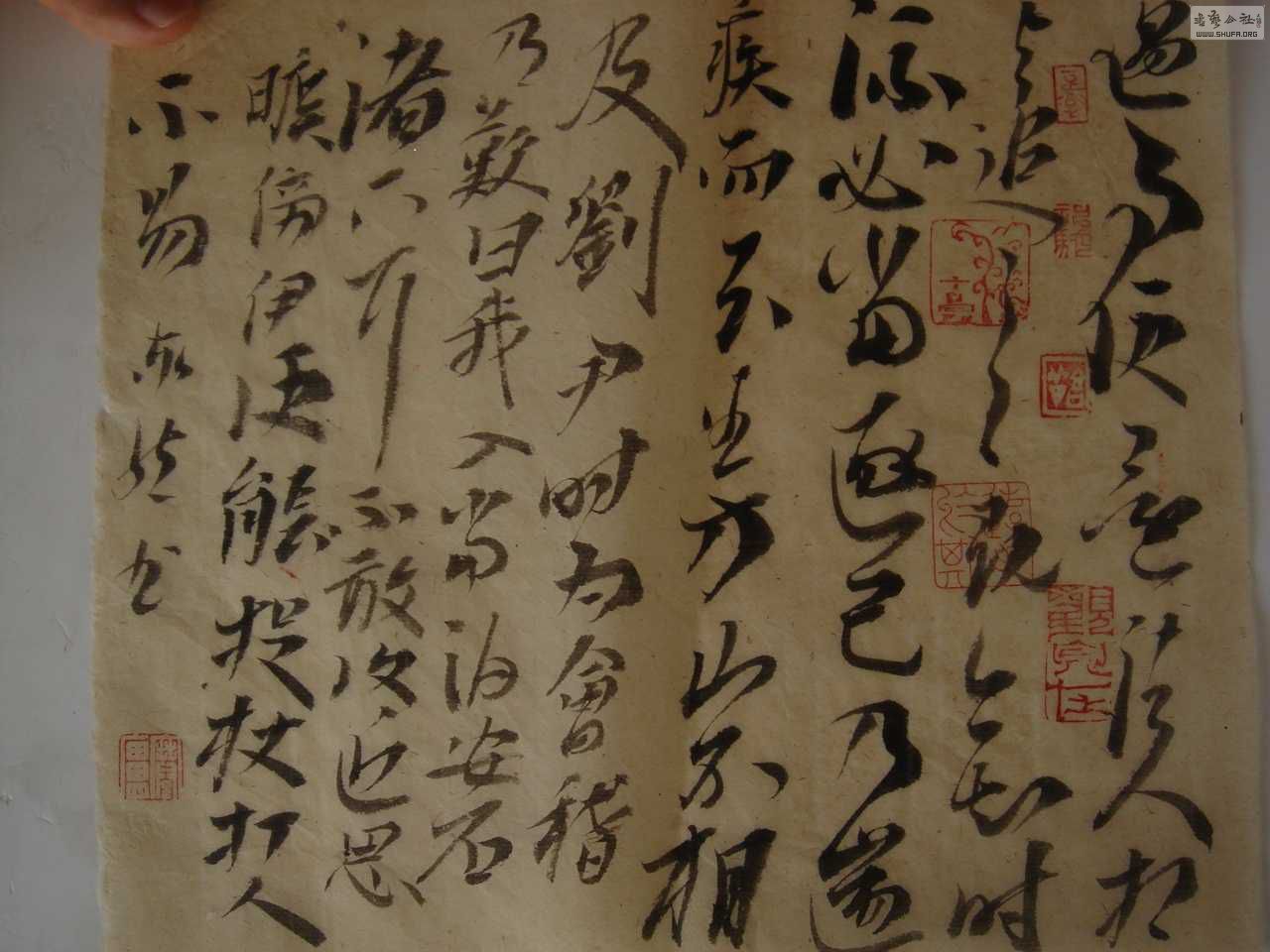 DSC01355.JPG