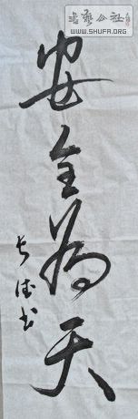 DSC00036.jpg