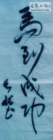 DSC00040.jpg