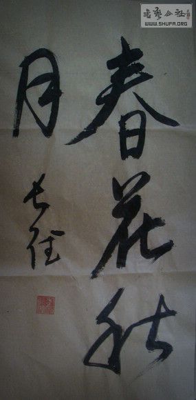 DSC00053.jpg