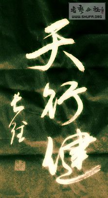 DSC00079.jpg