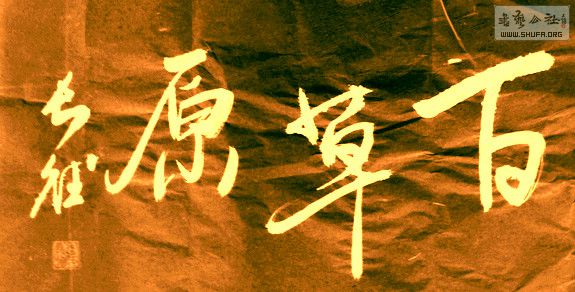 DSC00082.jpg