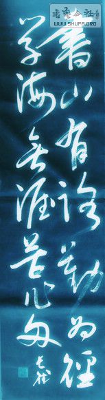 DSC00313.JPG