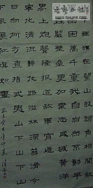 P1040767.JPG