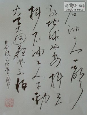 DSC00083.JPG