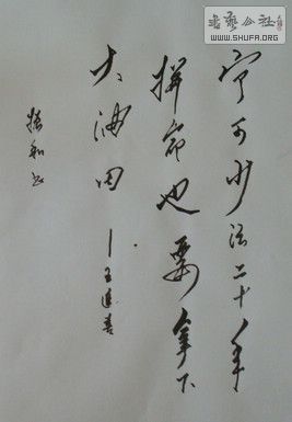 DSC00088.JPG
