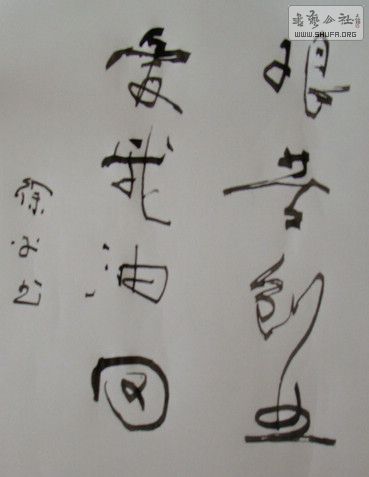 DSC00105.JPG