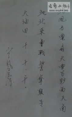 DSC00132.jpg