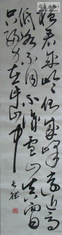 DSC00329.JPG