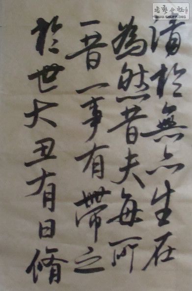 DSC00345.JPG