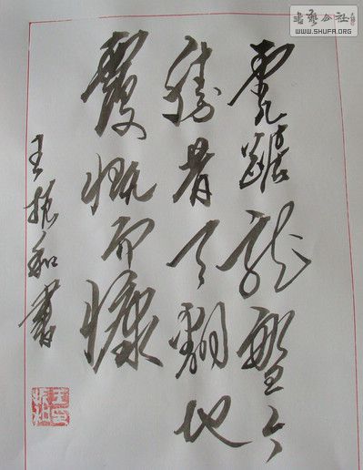 DSC00355.JPG