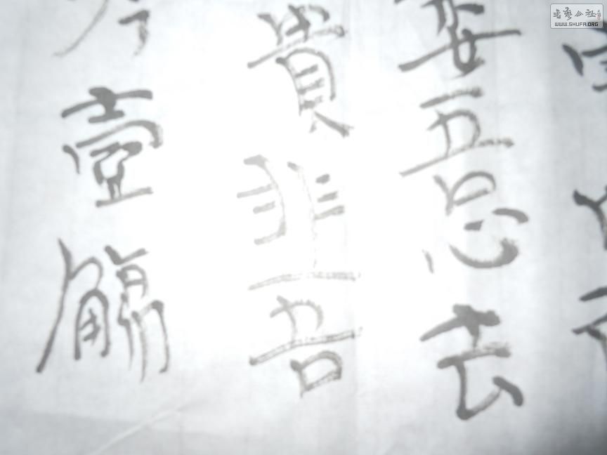 鷨6.JPG
