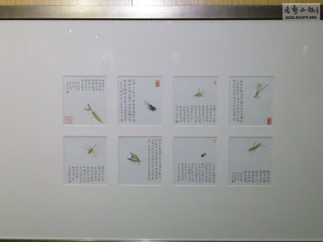 P1050225.JPG