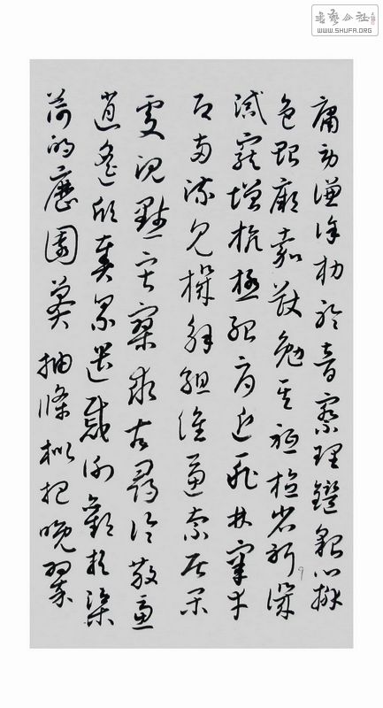 DSCF8788.JPG