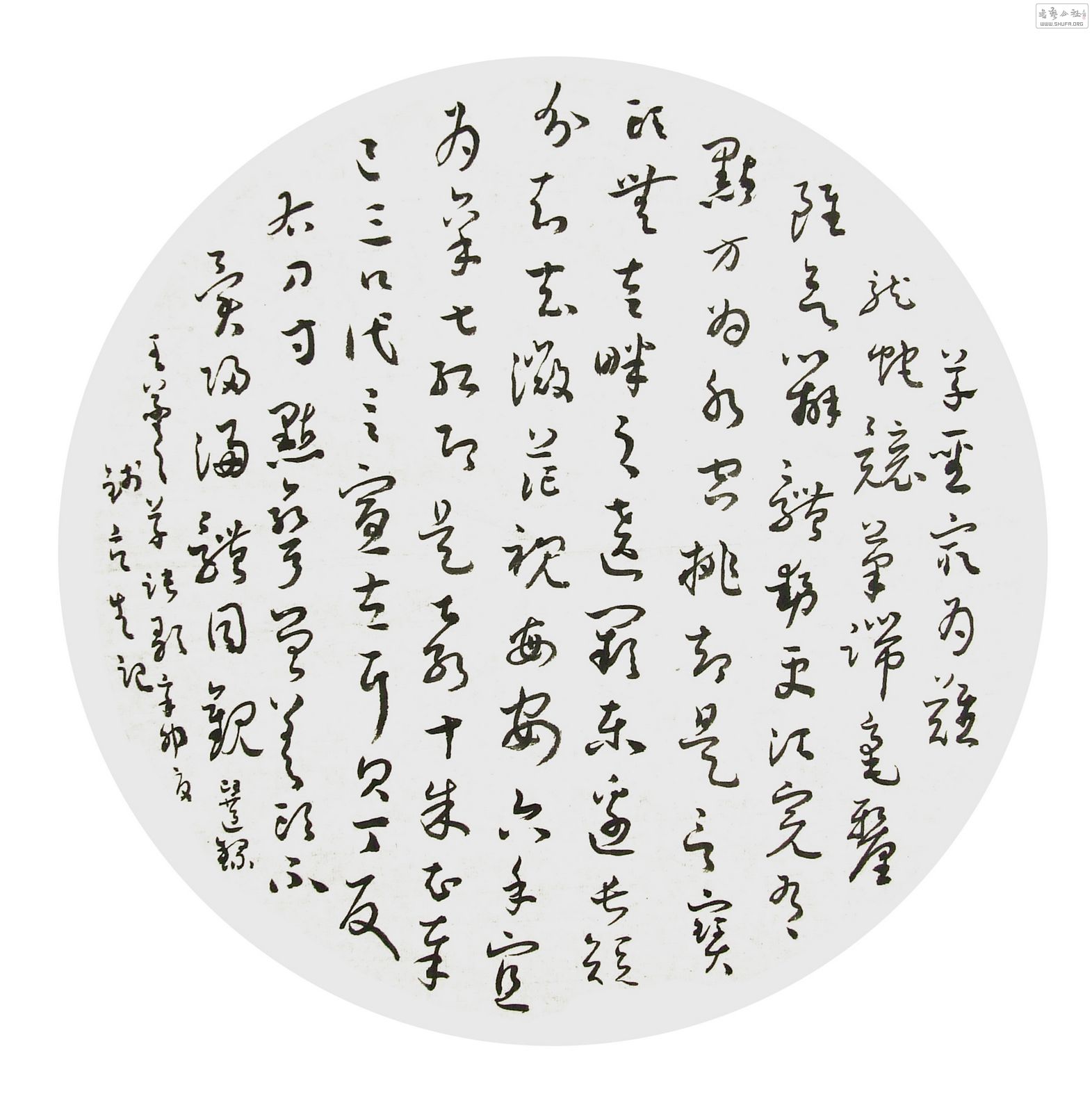 DSCF8904.JPG