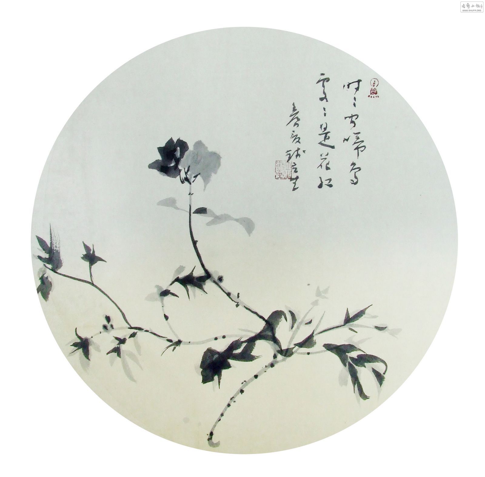 DSCF7287.JPG