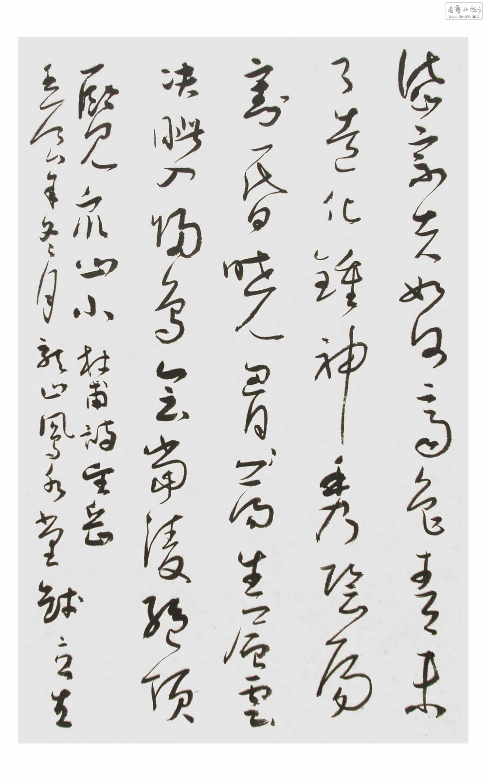 DSCF1810.JPG
