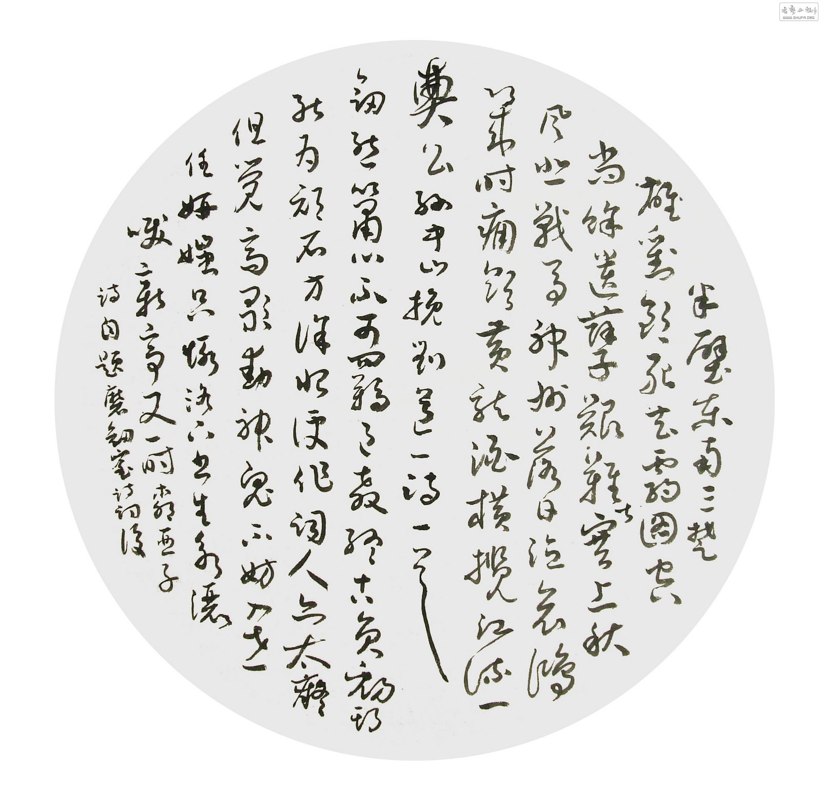  DSCF8903.JPG