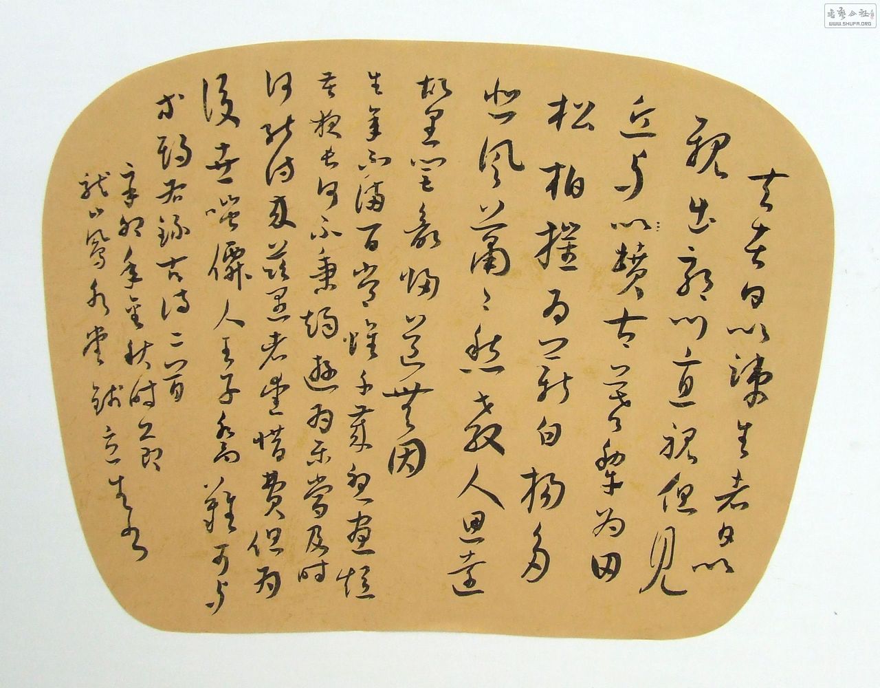  DSCF9734.JPG
