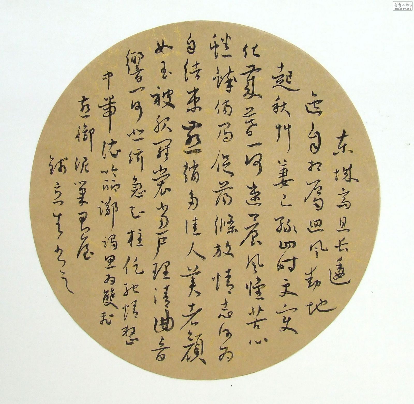 DSCF9736.JPG