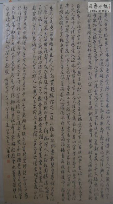 pxy9.jpg