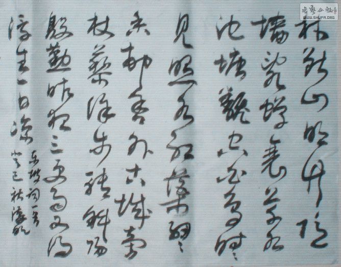 STP62083212_.jpg