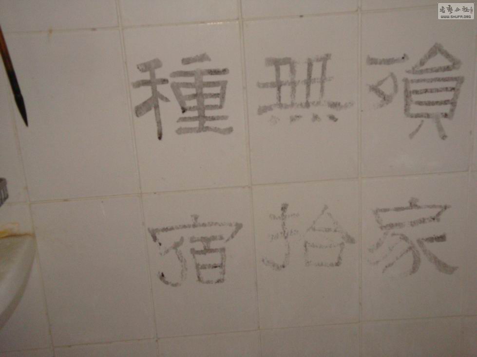 С DSC02687.JPG