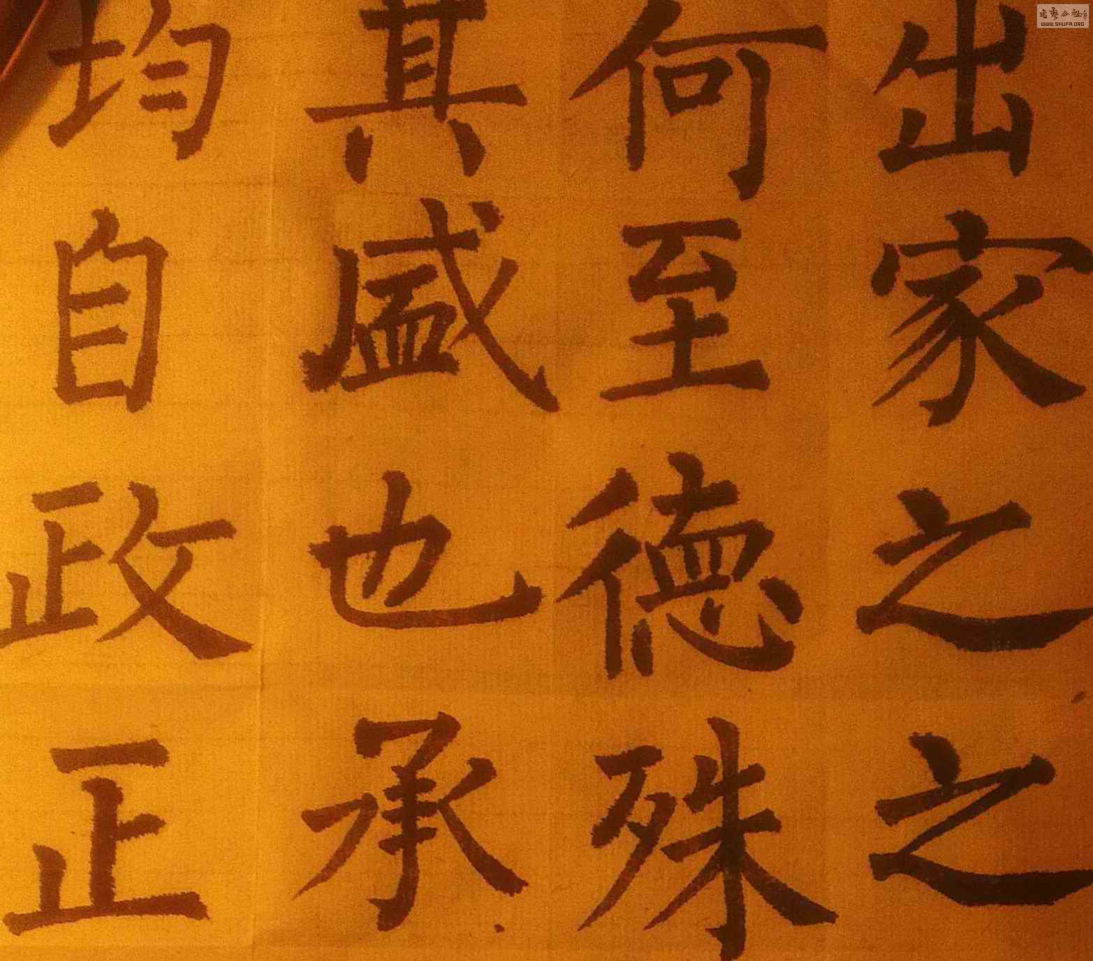 IMAG03572.jpg