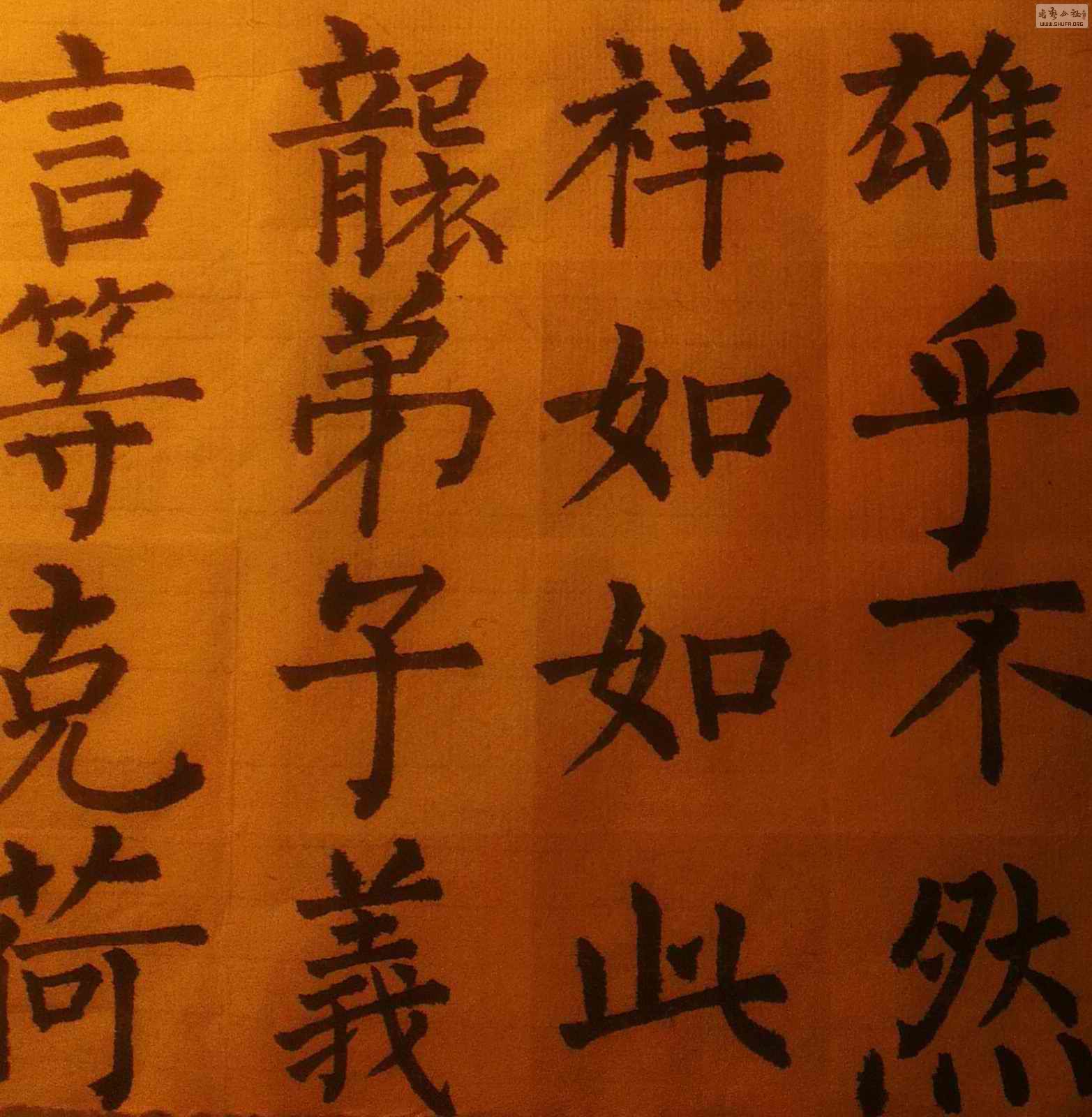 IMAG03571.jpg