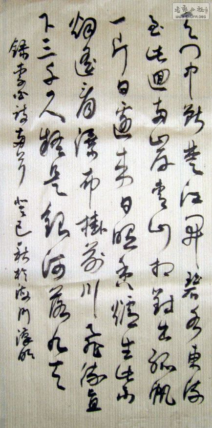 STP62083254_.jpg