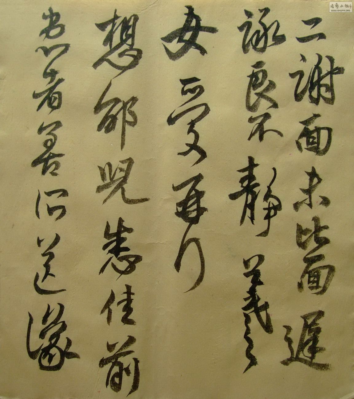 03.jpg
