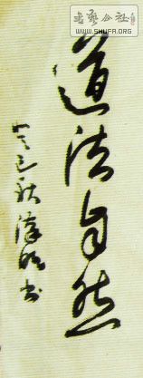 STP62083265_.jpg
