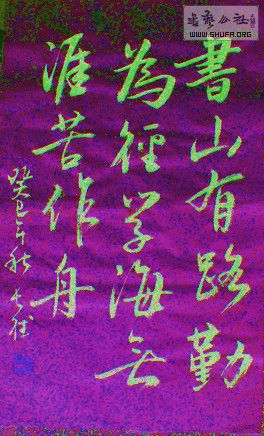 DSC00648a.jpg