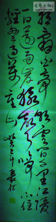 DSC00328a.jpg