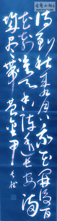 DSC00335a.jpg