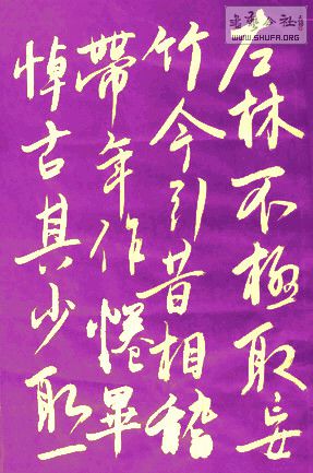 DSC00341a.jpg