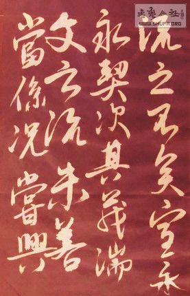 DSC00342a.jpg