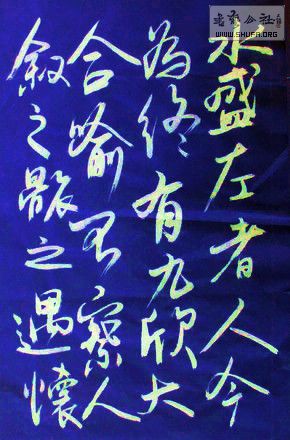 DSC00346a.jpg