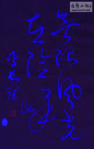 DSC00363a.jpg
