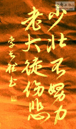 DSC00365a.jpg