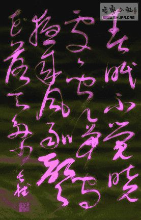DSC00646a.jpg
