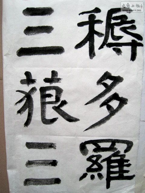 IMG_6951.JPG