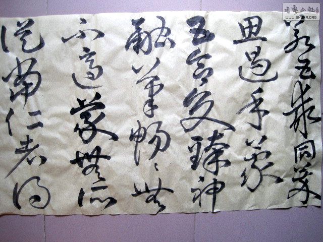 IMG_6964.JPG