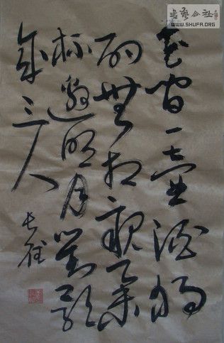 DSC00699.JPG